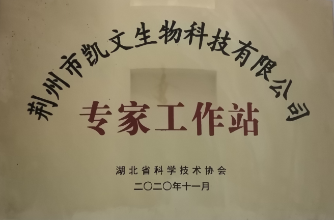 專(zhuān)家工作站